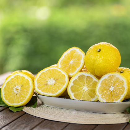 Yuzu