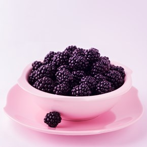 Blackberry flavoured protein shake powder