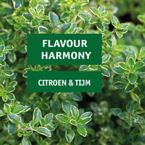 Flavour harmony: citroen en tijm