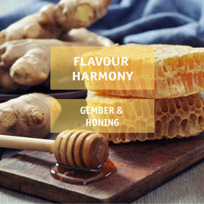 Flavour harmony: gember en honing