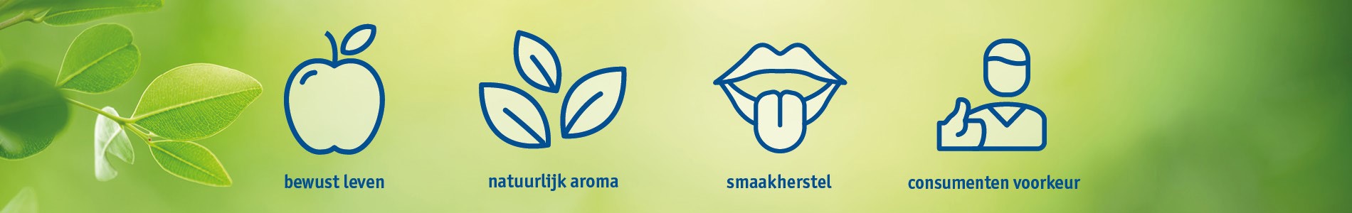 Header Aanpas 2 Taste Modulation