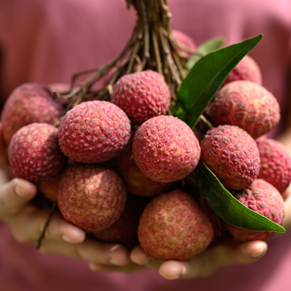 Lychee