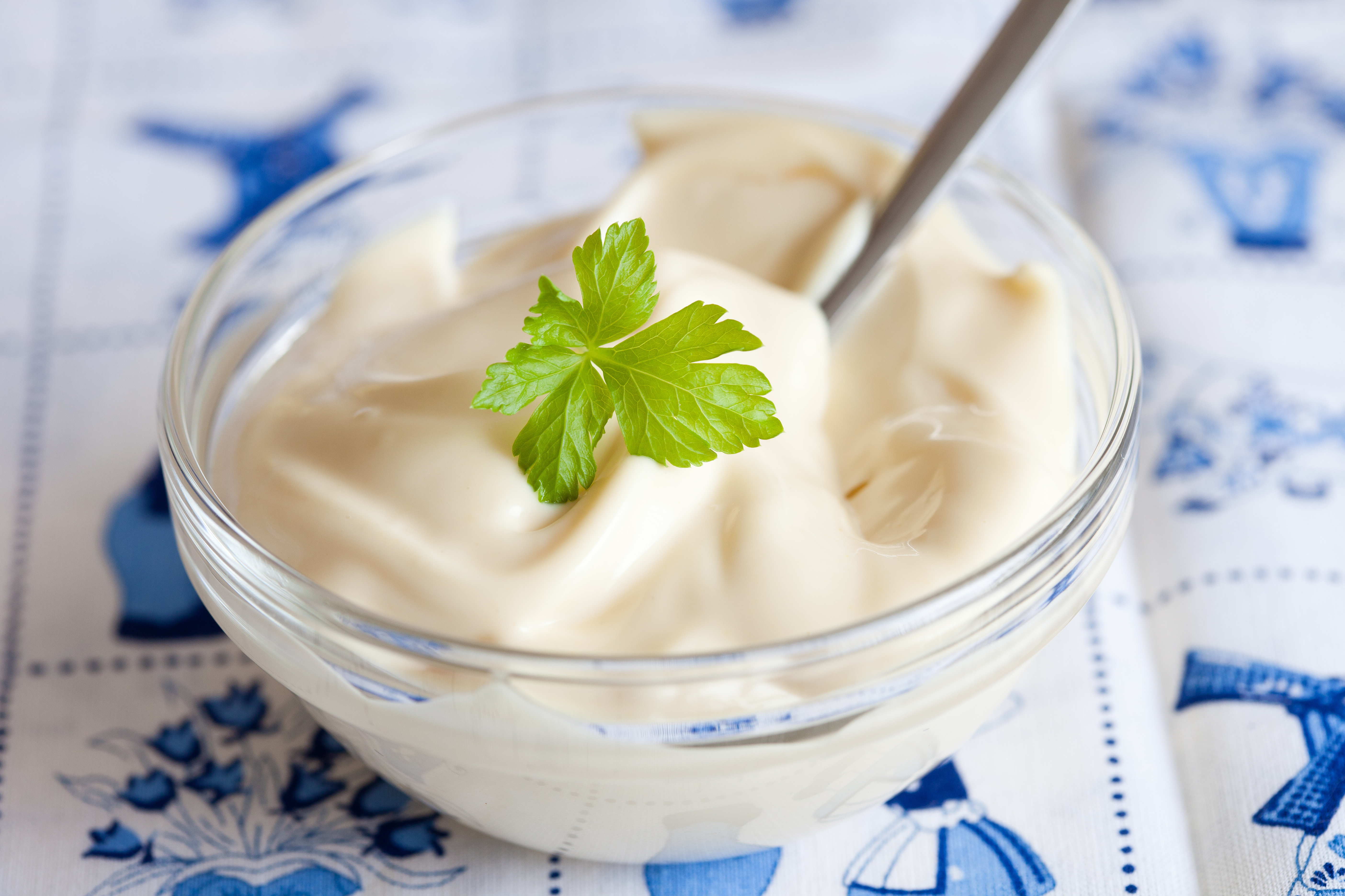 Mayonaise Homemade