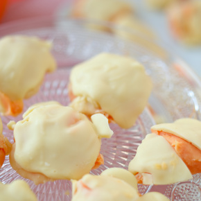 Truffel bal Mango Abrikoos